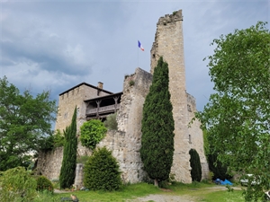 chateau à la vente -   47360  MADAILLAN, surface 630 m2 vente chateau - APR655748